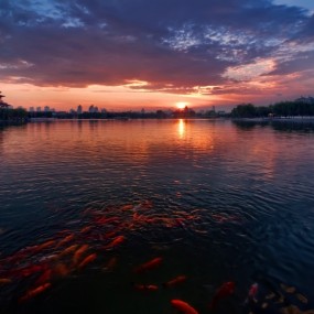 蓉湖妍醉古城