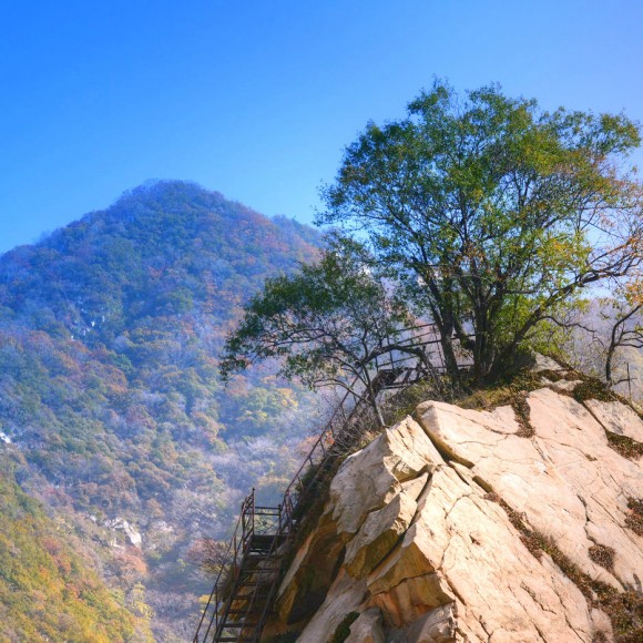 秦岭小片