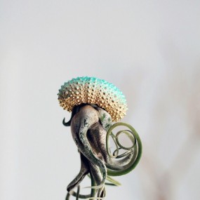 Air Plant Jellyfish by ‘PetitBeast’