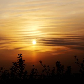 路途拍夕阳