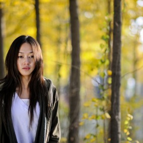 秋韵（一）一帘秋梦