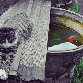 【慵懒】
