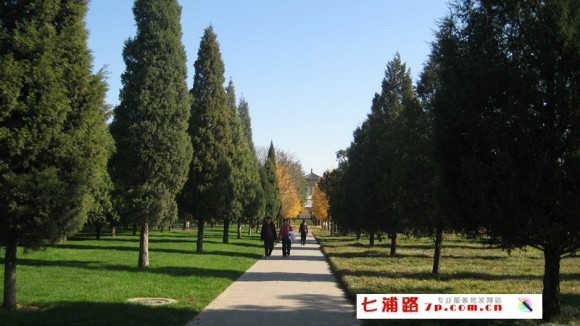 天坛春季游