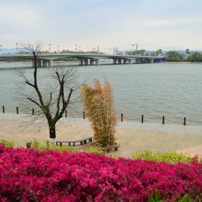 汉江河畔