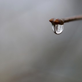 蕴