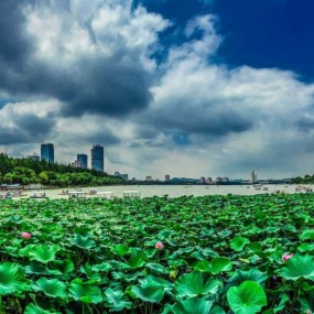 季夏玄武湖