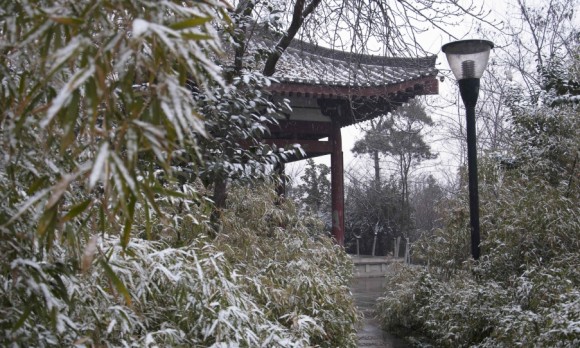 吝啬的雪花