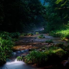 山溪水柔情