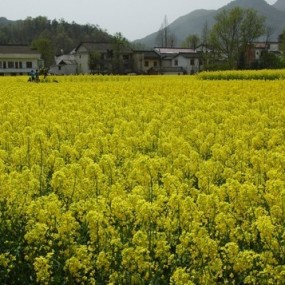 清明汉中游