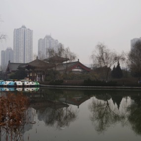 豐慶公園隨拍