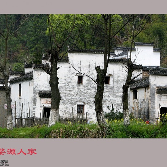 水粉色的风光