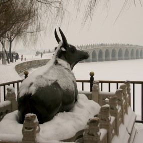 雪中记忆