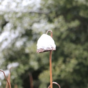 雪压枯头蓬