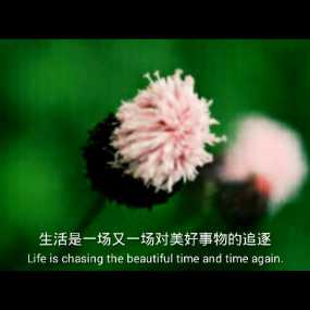 摄影