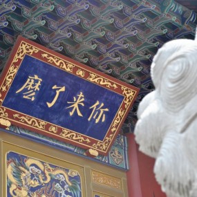 一些随拍~