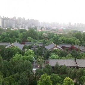 曾走过的风景