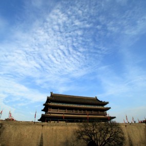 仰望天空