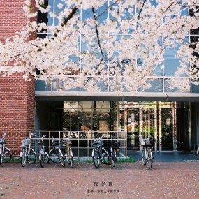 樱之国度