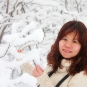 雪中那一抹红