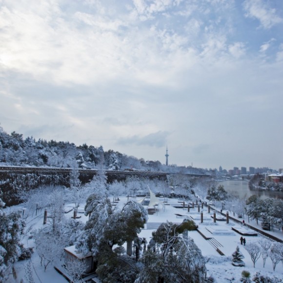 南京.二月雪