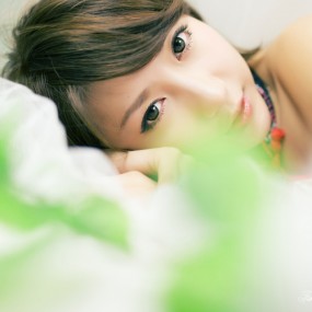 『若』见