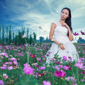 格桑花海女孩