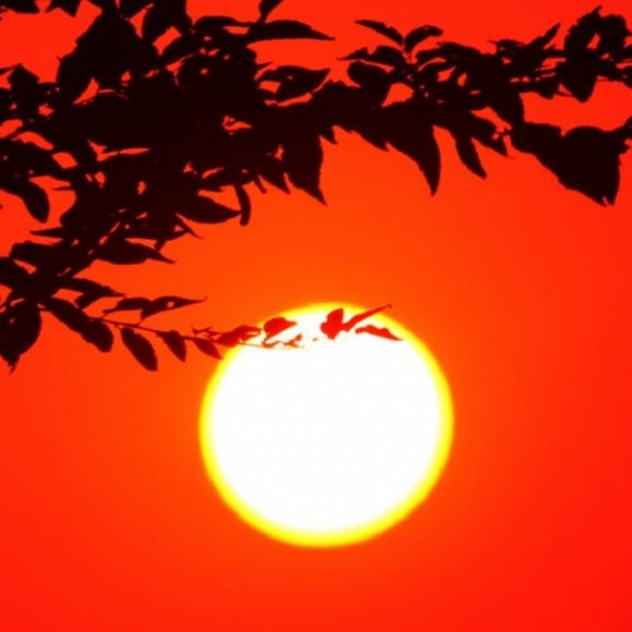夕下余晖