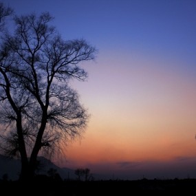 夕陽餘暉
