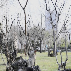 怪材