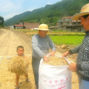 老人和小孩