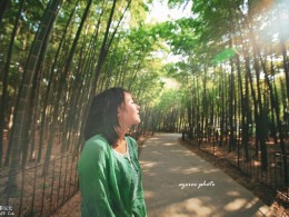 竹林少女