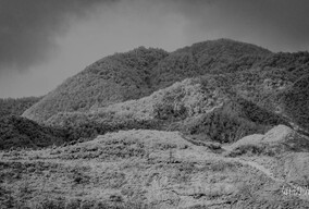 与雪有关