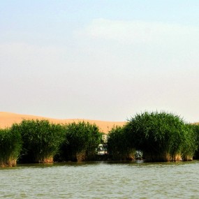沙湖