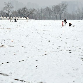 春雪大明宫