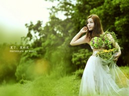 夏了。夏的花