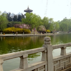 踏春兴庆