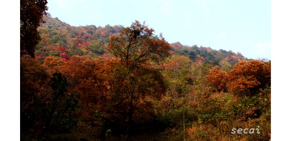 石砭峪红叶