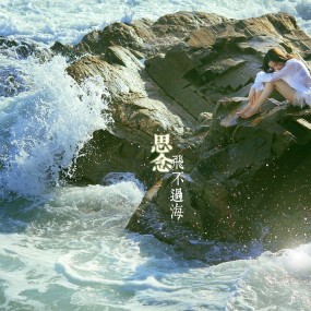 飞不过海