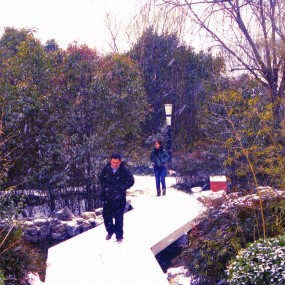下雪了