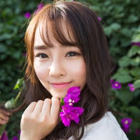 花见情语