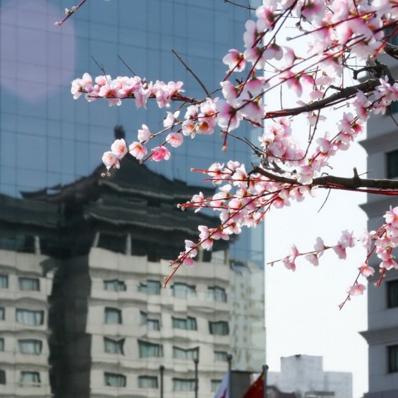 楼中楼