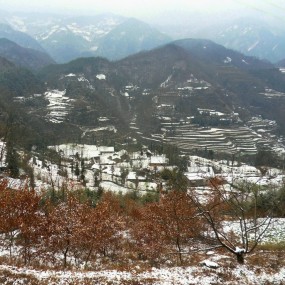 青岗坪雪景