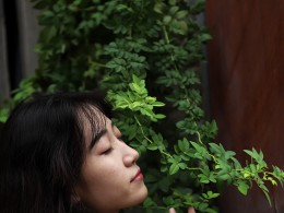护花使者
