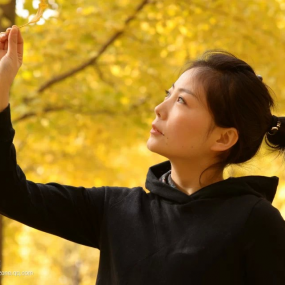 银杏林拍