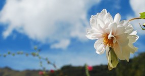 川西
