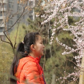 三月赏桃花