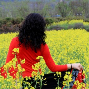 楼观台油菜花