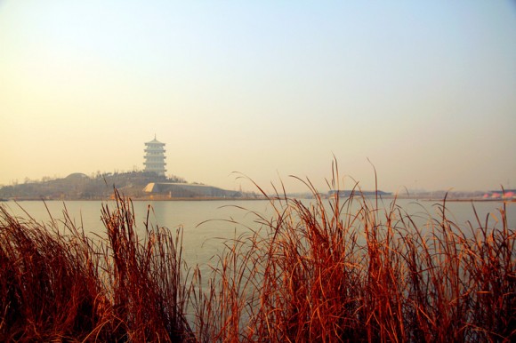 世园会冬景