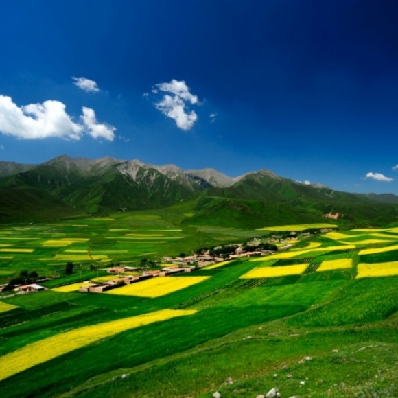 美丽青海湖