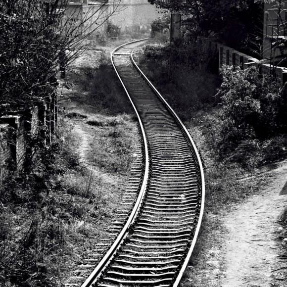 路—杨柳